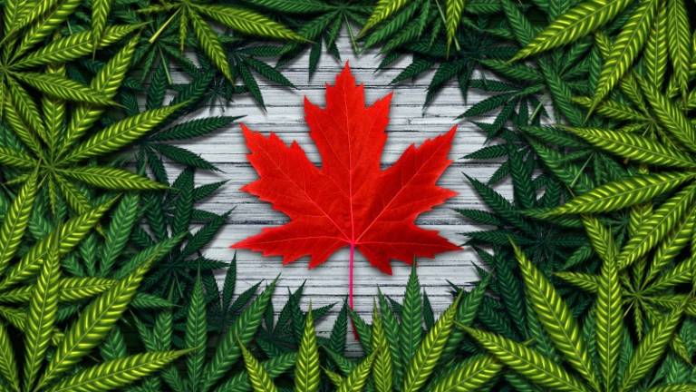 Marihuana legal dio $139 millones a Canadá en apenas 5 meses