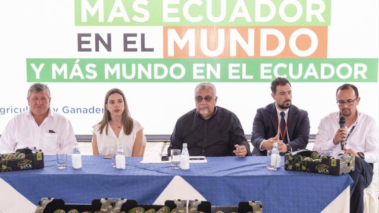 21.500 kilos de aguacate Hass exportó Ecuador a Europa