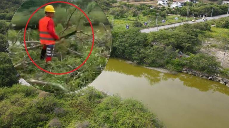 ¿Qué pasa en Olón? Manglar en peligro por la construcción de proyecto inmobiliario Echo