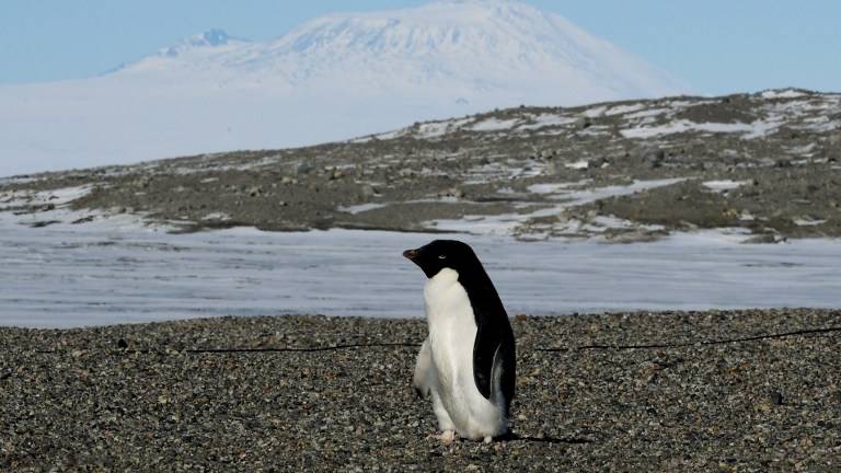 Los glaciares de la Antártida están más estables de lo que se creía