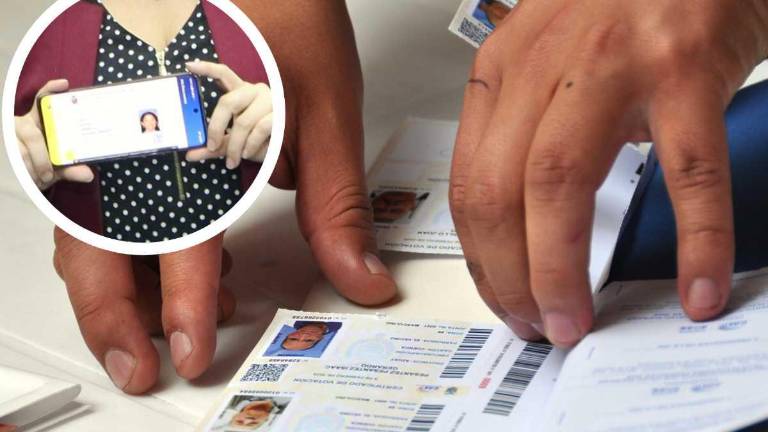 A través de la app Gob.EC se puede descargar el certificado de votación digital, el documento no sustituye al físico, pero tiene su misma validez jurídica.