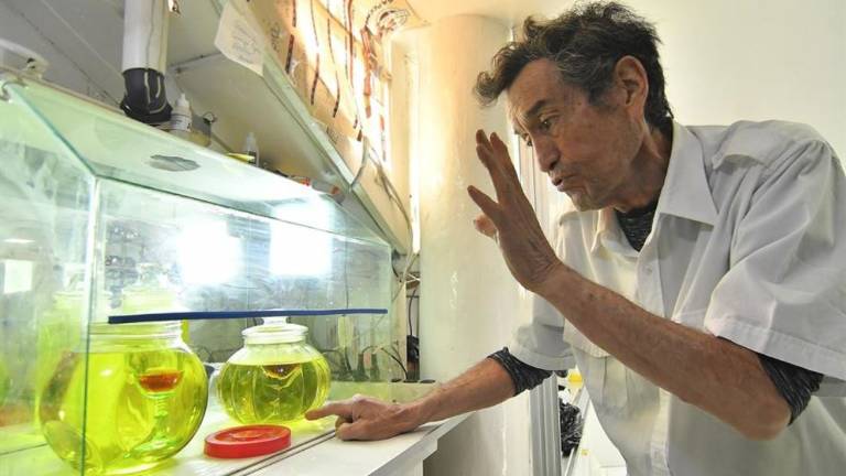 El polémico uso del dióxido de cloro en Bolivia