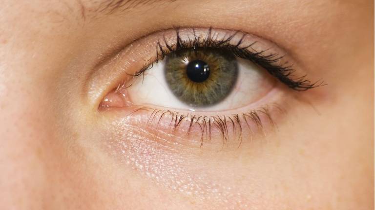 Tamaño de las pupilas indica riesgo de muerte en pacientes con insuficiencia cardíaca