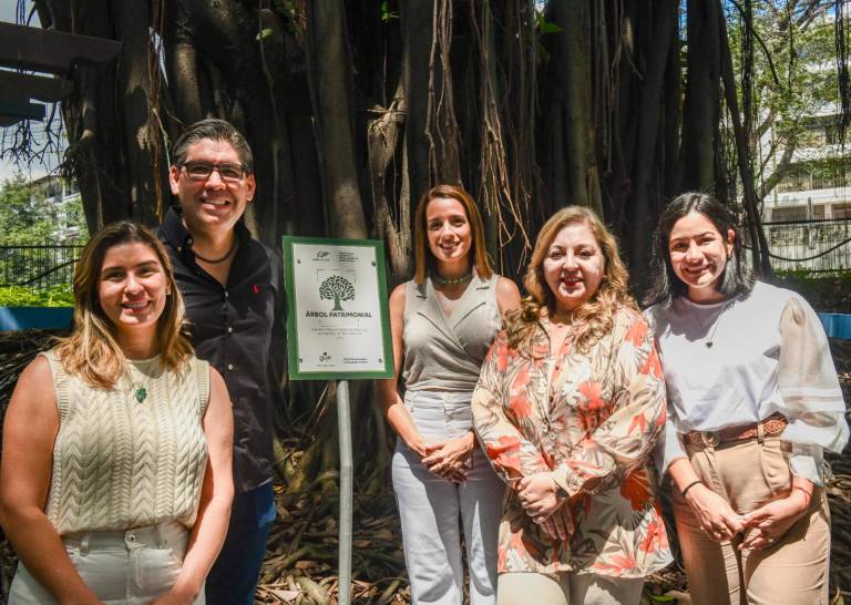 $!La declaratoria de árboles patrimoniales fue motivada bajo la administración de Cynthia Viteri, en relación al eje “Guayaquil ecológico”.
