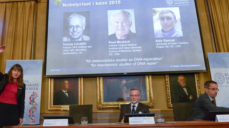 Nobel de Química premia estudios sobre reparación del ADN