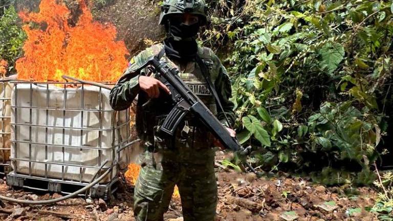 Ejército destruye rutas ilegales usadas para transportar explosivos y combustible en la frontera con Perú