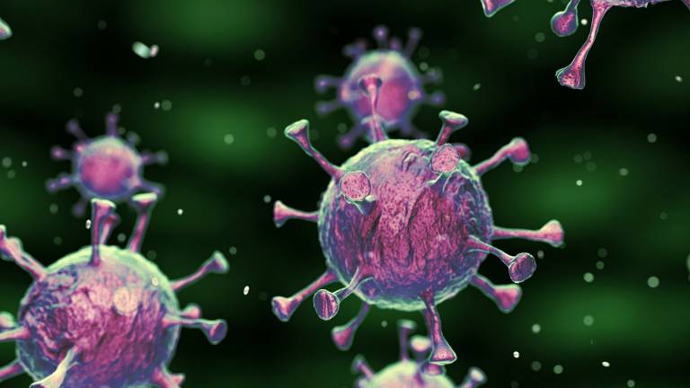 ¿Cómo enferma y mata el coronavirus a una persona?
