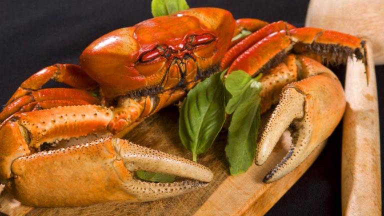 Tras un mes de veda, los cangrejos retornan a las mesas