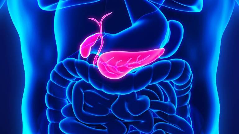 Por primera vez logran desaparecer cáncer de páncreas en ratones