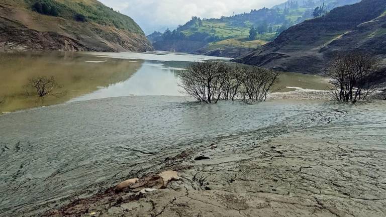 Daniel Noboa declara estado de excepción por crisis en el sector eléctrico: se moviliza a la Policía Nacional y Fuerzas Armadas