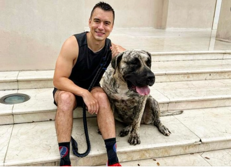 $!Daniel Noboa elimina IVA en los alimentos para mascotas: 'no son solo animales, son familia'