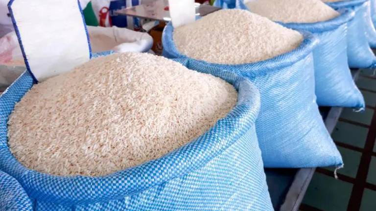 Ecuador anuncia que exportará 30.000 toneladas de arroz hacia Colombia