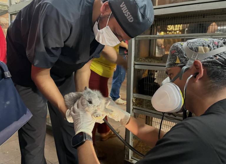 $!Revisión de los animales rescatados durante el incendio.