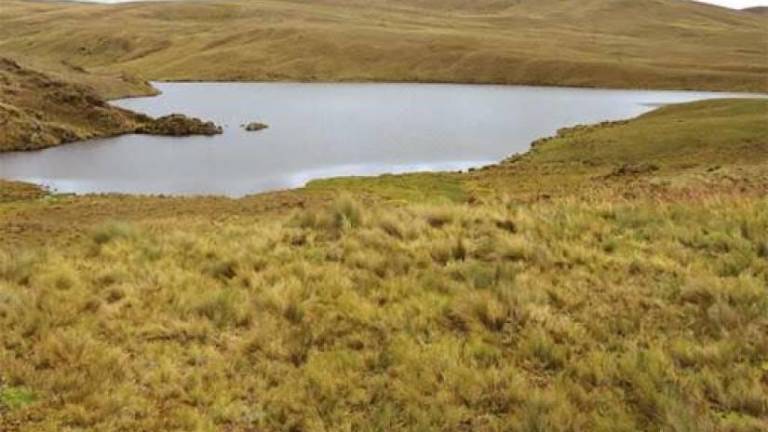 Gobierno pide a la Prefectura del Azuay y a la Alcaldía de Cuenca analizar riesgos de proyecto minero en Quimsacocha