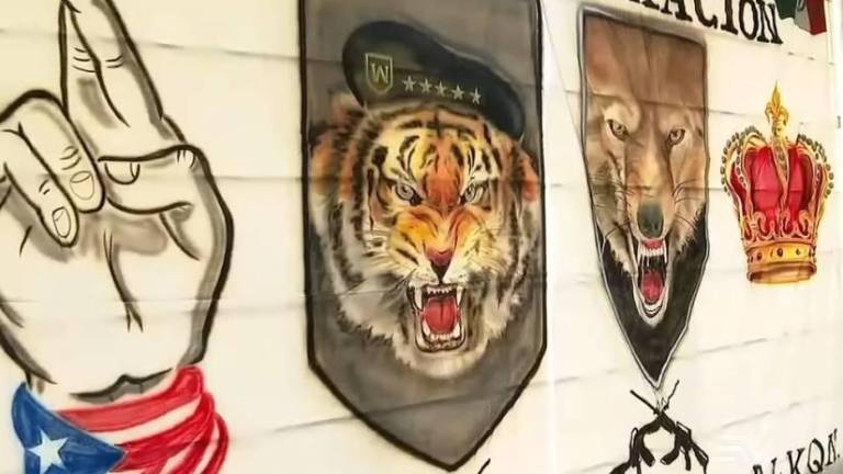 Argentina declara como organizaciones terroristas a Los Lobos y Los Choneros