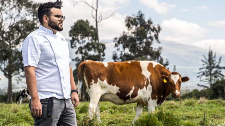 El Chef de Tributo, Luis Maldonado, ha desarrollado varias iniciativas enmarcadas en formación y pago justo a ganaderos que permiten que sus ganados lleguen en buen estado corporal en su periodo de adultez.