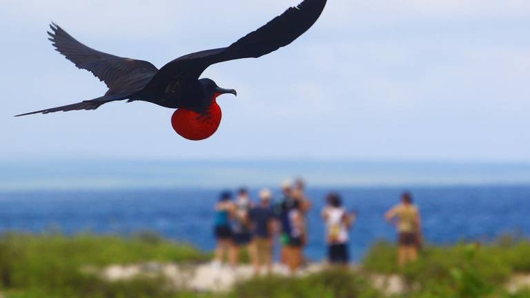 El turismo en las Islas Galápagos creció un 6% en 2014