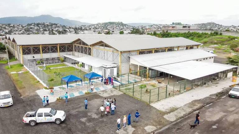 Centro para rehabilitación de mascotas abre en Guayaquil