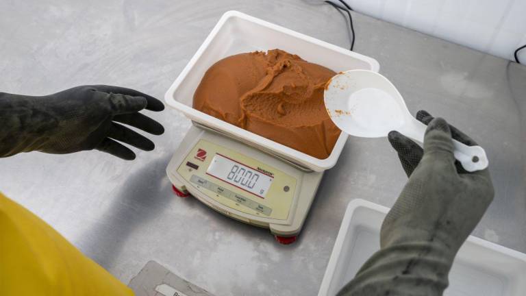 La artemia es la base nutricional de las larvas de camarón