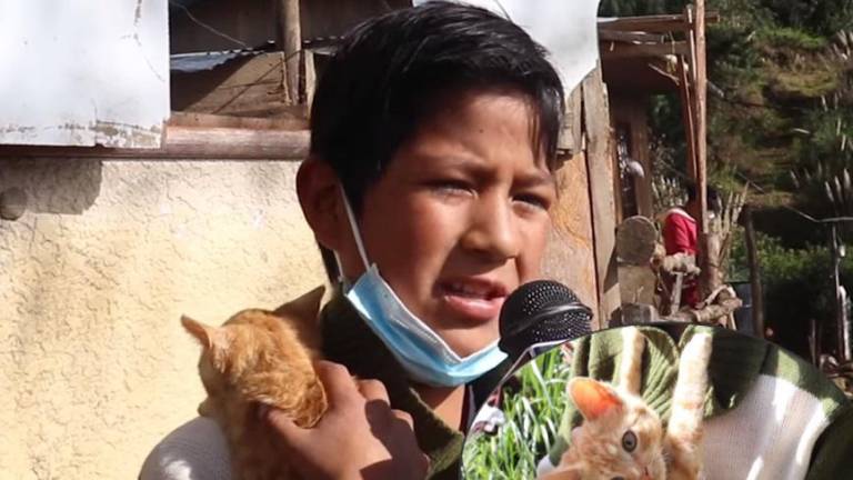 Niño que vendía a su gato en Gualaceo, para ir a la escuela y comer, recibe ayuda