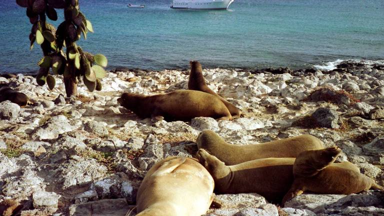 Se cumplen 485 años del hallazgo de las Islas Galápagos