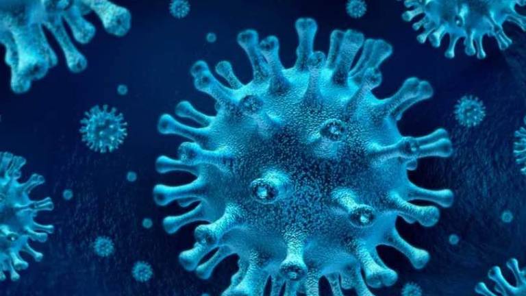 ¿Qué dice la OMS sobre los primeros casos de reinfencción de coronavirus?
