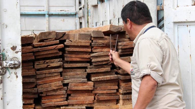 Desarrollan sistema de trazabilidad para identificar origen de madera