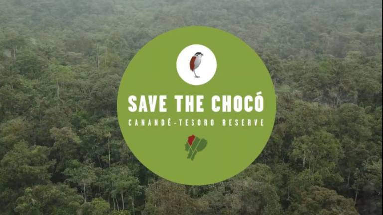 La campaña para salvar uno de los ecosistemas "más amenazados del mundo"