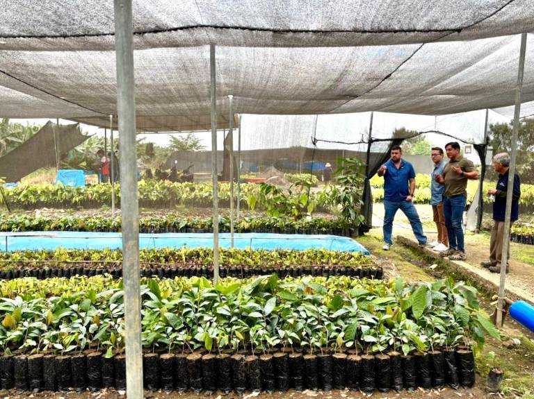 $!Gobierno anuncia crédito 7x7 de BanEcuador.