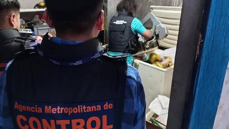 Calderón: descubren en una casa un camal clandestino y presunta planta de procesamiento de oro ilegal