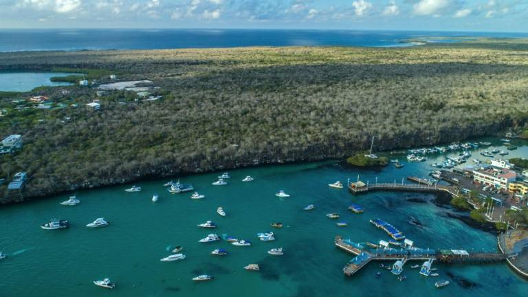 Galápagos frente a la teoría de la evolución de Darwin: "cambiar y adaptarse" para sobrevivir de pandemia