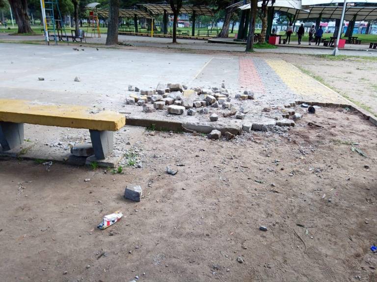 $!Manifestantes provocan afectaciones en el parque El Ejido en Quito; Municipio anuncia sanciones