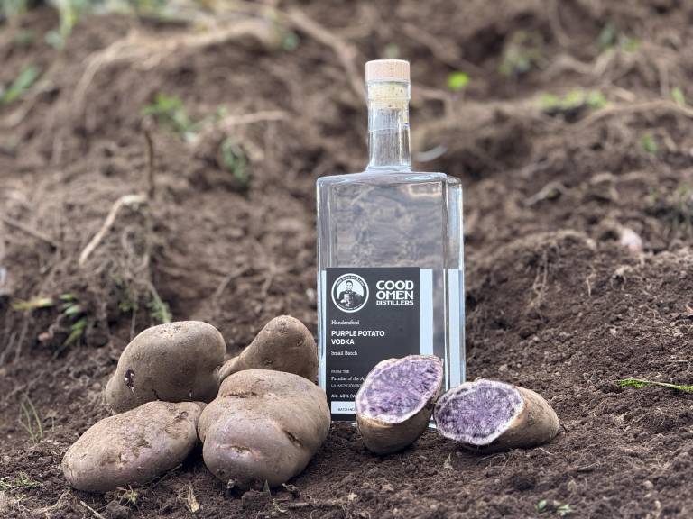 $!Good Omen trabaja en el rescate de la papa púrpura de los Andes ecuatorianos. El tubérculo es la materia prima para producir su galardonado vodka.