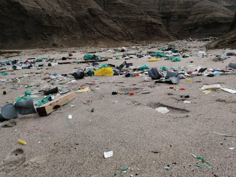 $!Los plásticos, microplásticos, redes de pesca, colillas de cigarrillo y envases de comida, son los materiales que más se encuentran y contaminan las distintas playas de Ecuador.