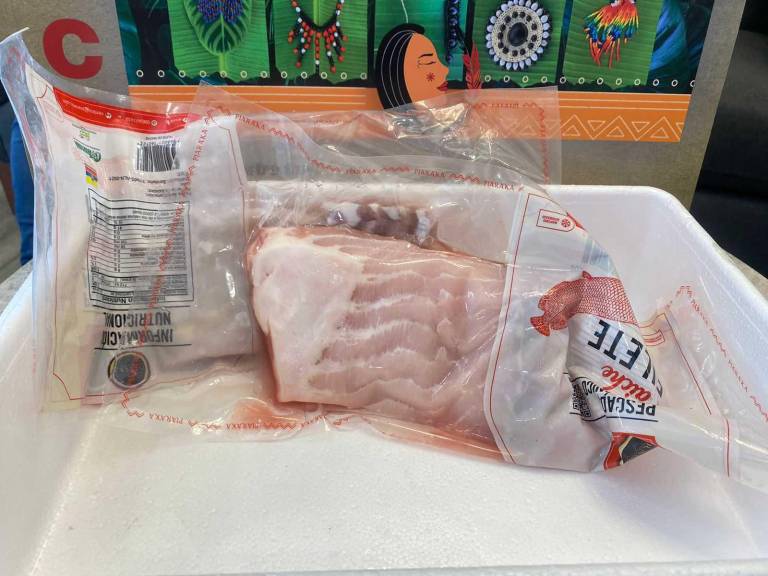 $!El Paiche se cultiva en estanques controlados para una pesca segura de esta esécie en peligro de extinción.