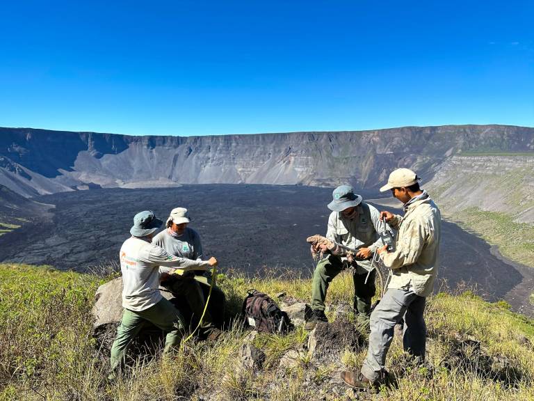 $!Llegar al Volcán Wolf toma cinco horas en lancha y los investigadores permanecen doce días en territorio.