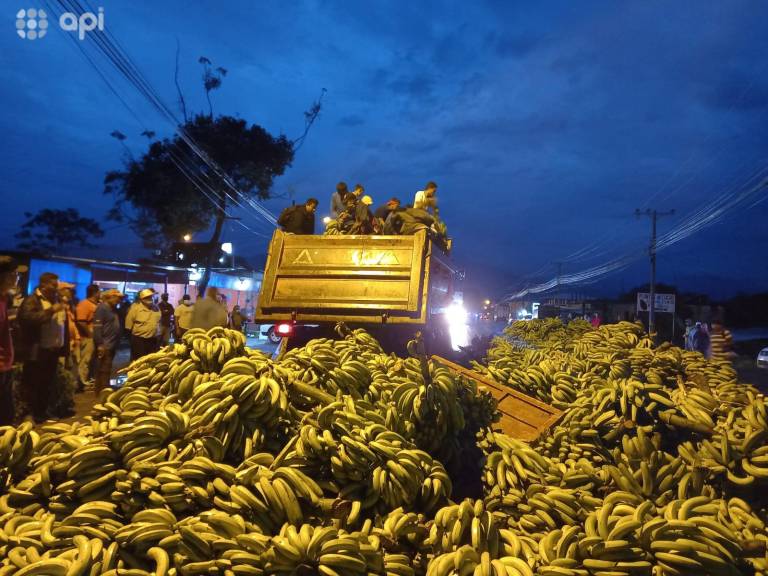 $!Bananeros protestan y bloquean carretera en Guayas con cientos de racimos