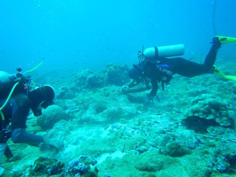$!Galápagos toma acciones para proteger su último arrecife marino