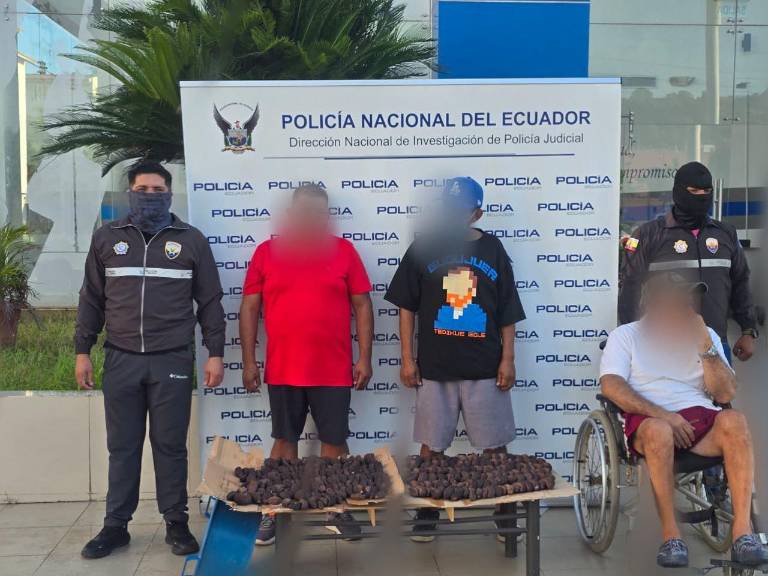 $!Ecuatorianos con pepinos de mar.