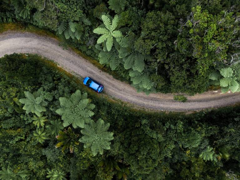 $!Fotografía de referencia de un vehículo atravesando un paraje selvático que comparte similitudes con el de la Amazonía ecuatoriana.