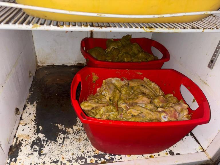 $!Los hallazgos más inquietantes del Arcsa en locales clausurados durante junio de 2025