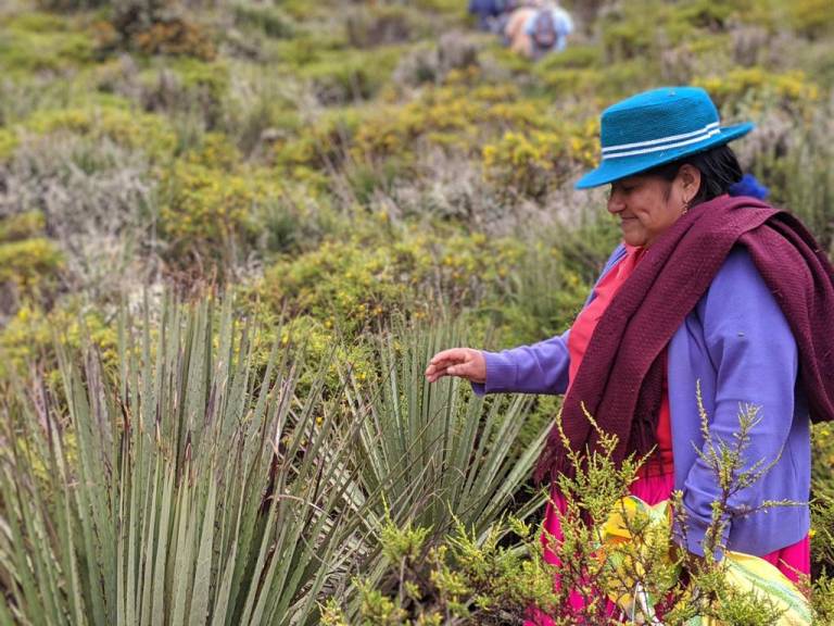 $!Agua por el Futuro es el programa donde participa Coca-Cola Ecuador, que promueve la protección de las cuencas hidrográficas que abastecen a Quito, Cuenca, Gualaceo e Isidro Ayora.