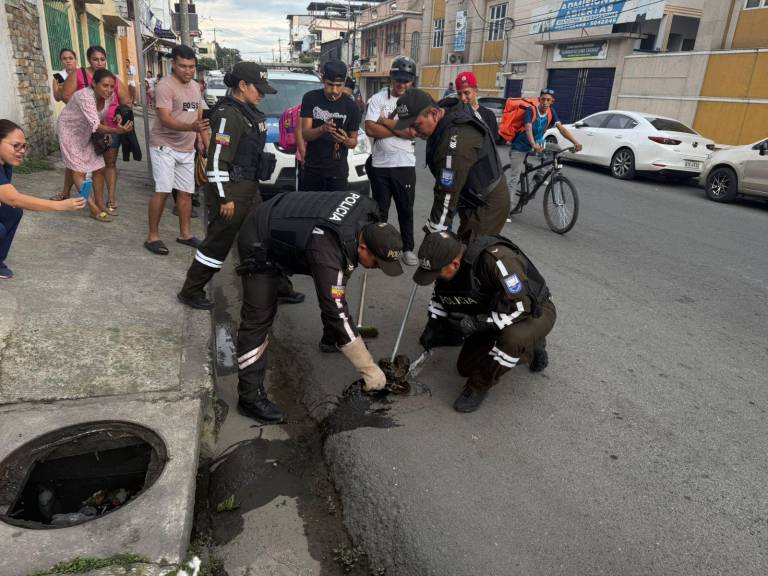 $!Rescate de la boa.