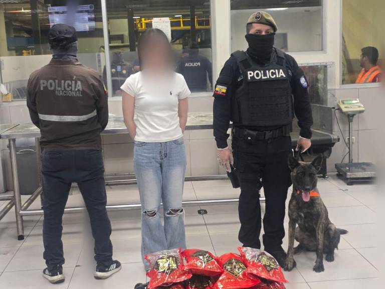 $!Ella es Li C., detenida por presunto tráfico de pepinos de mar.
