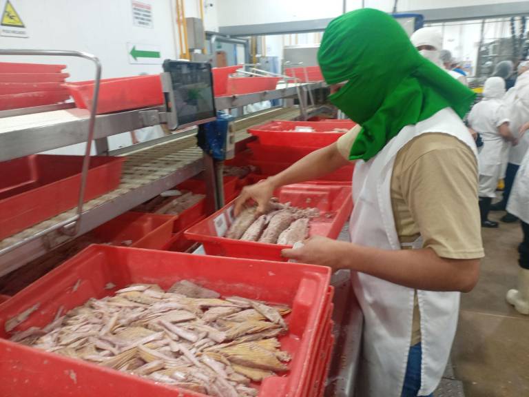 $!Personal de una planta atunera en el procesamiento de la materia prima.