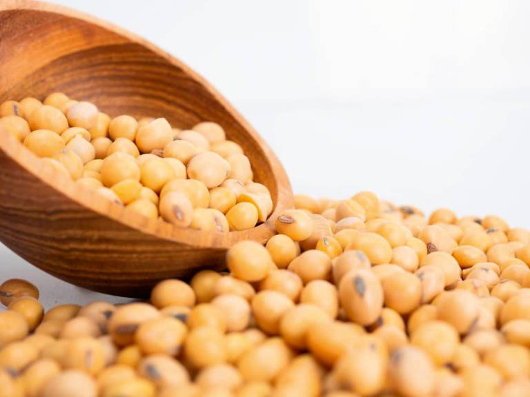 $!USSEC: La Soya Sostenible gana protagonismo en la producción de pollo, cerdo y pescado en Latinoamérica