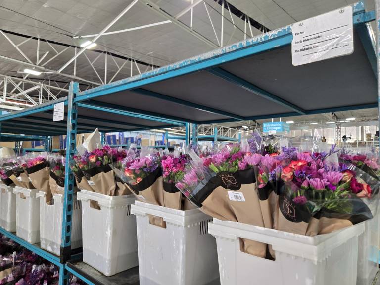$!En Estados Unidos, el principal centro de acopio donde se reciben las flores está en Miami.