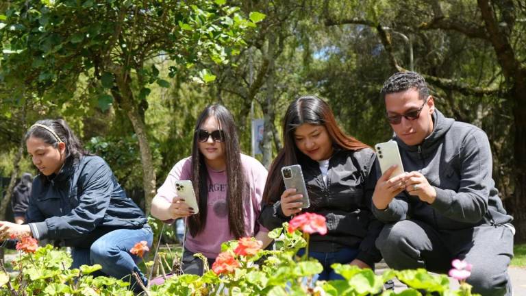 Ecuador lanza Animalia Ec., una app para combatir el tráfico ilegal de fauna silvestre