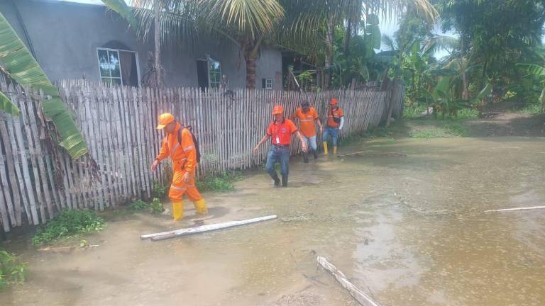 Gobierno declara emergencia en provincias de la Costa y Sierra: ordena movilización de militares por fuertes lluvias