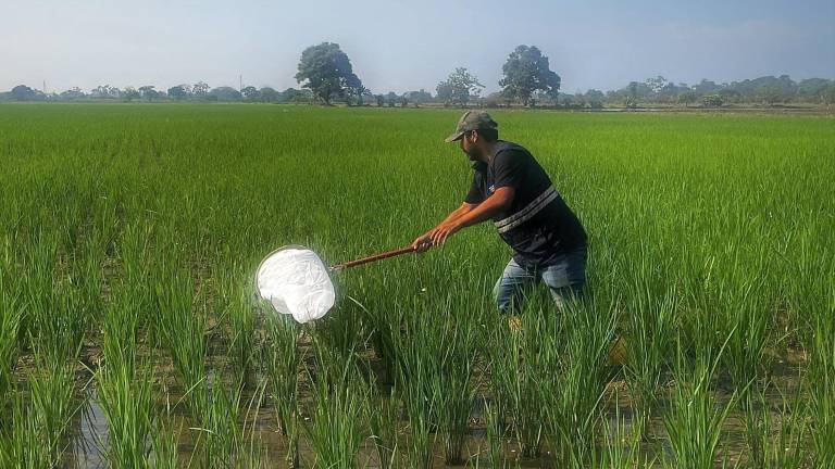 Nuevo crédito 7x7 entregará hasta USD 30 mil: ¿Quiénes pueden acceder a este beneficio del Gobierno?